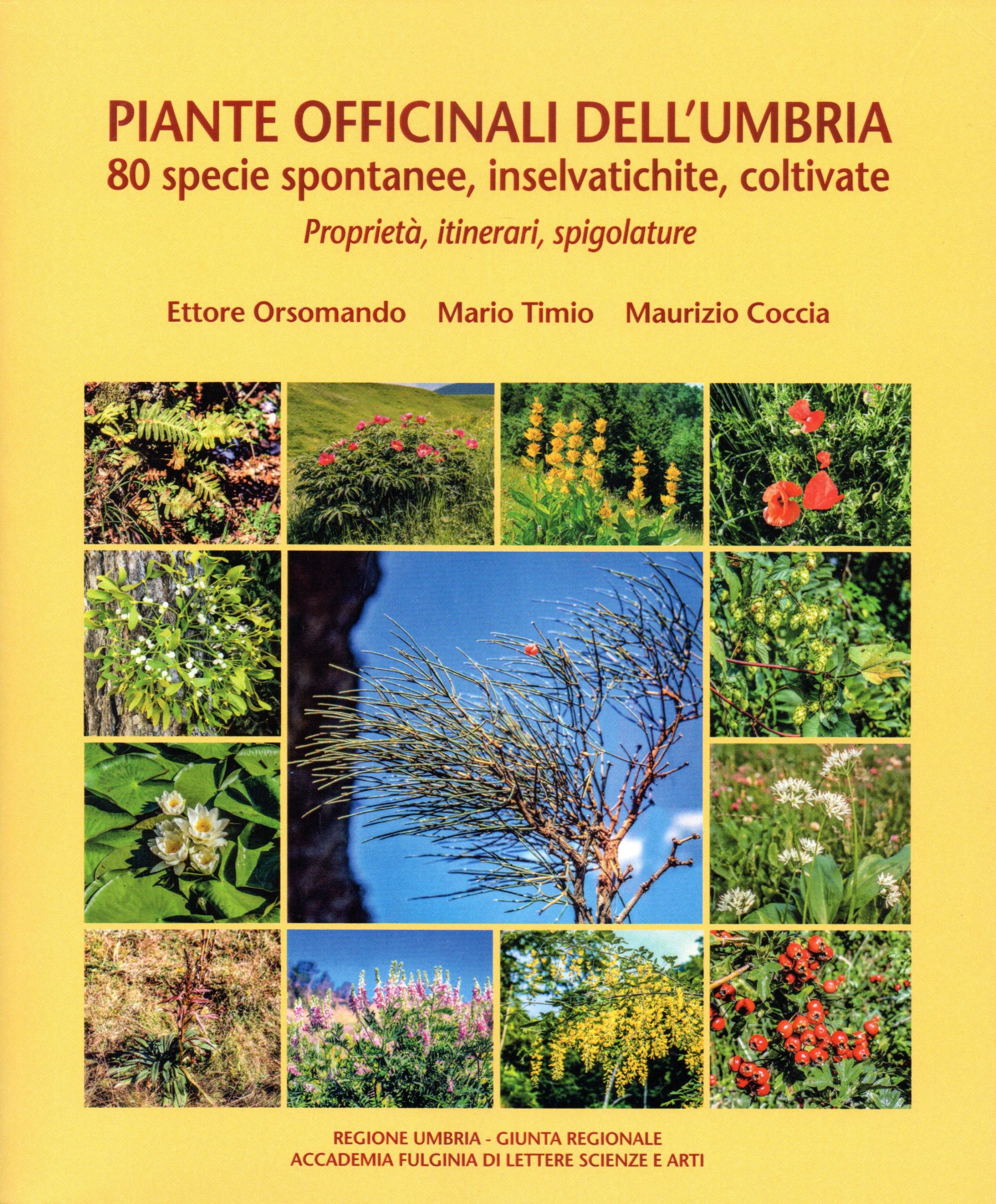 Piante officinali